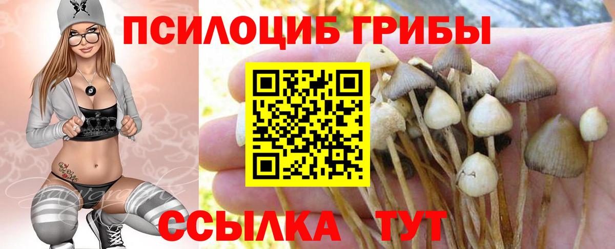 Галлюциногенные грибы Cubensis  Псилоцибиновые грибы Psilocybe  Вход с VPN  Озёры 